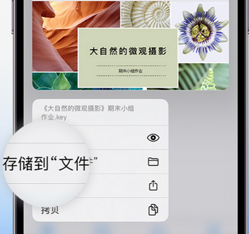 宜州apple维修中心分享iPhone文件应用中存储和找到下载文件