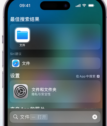 宜州apple维修中心分享iPhone文件应用中存储和找到下载文件 