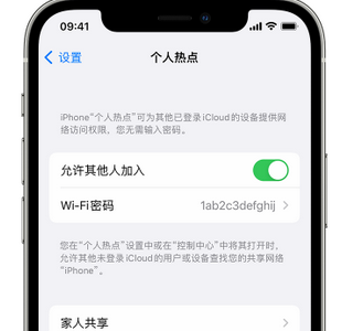 宜州apple服务站点分享iPhone上个人热点丢失了怎么办 