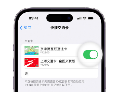 宜州apple维修点分享iPhone上更换Apple Pay快捷交通卡手绘卡面 