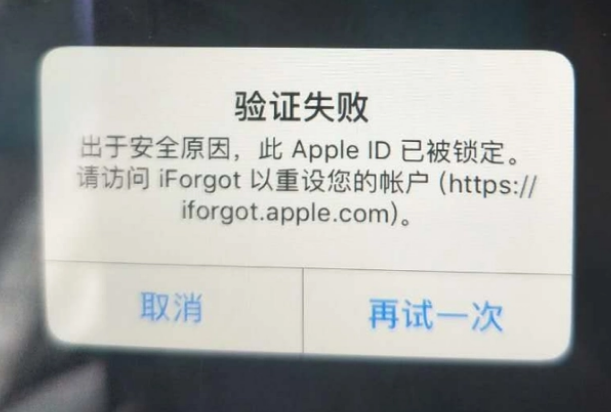 宜州iPhone维修分享iPhone上正常登录或使用AppleID怎么办 