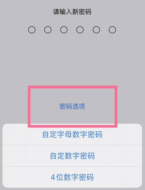 宜州苹果14维修分享iPhone 14plus设置密码的方法 