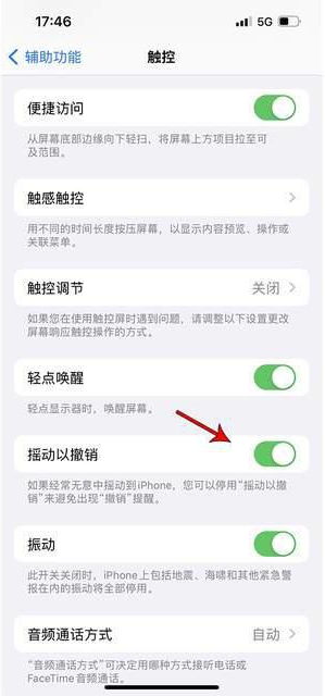 宜州苹果手机维修分享iPhone手机如何设置摇一摇删除文字 