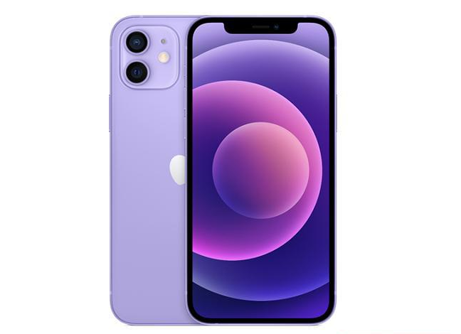 宜州苹果手机维修分享现阶段要不要入手紫色版iPhone12 