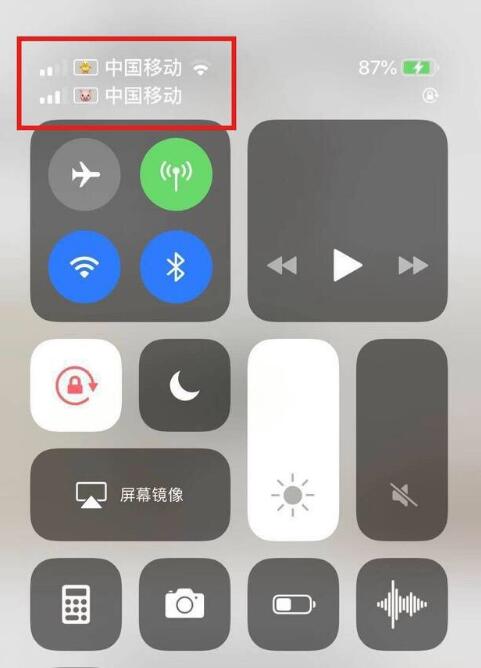 宜州苹果手机维修分享为 iPhone 12 双卡设置标签 