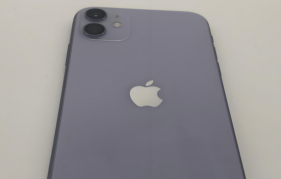 宜州苹果11系统维修分享iPhone11手机系统崩溃无法开机如何解决